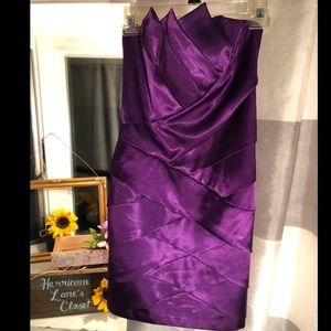 Purple Jessica McClintock Strapless Mini